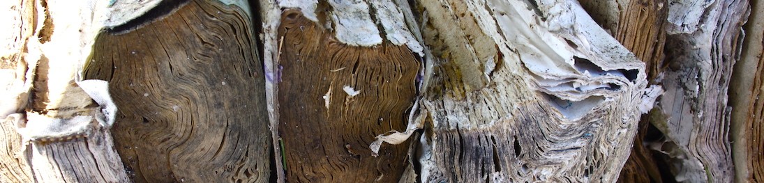 weathered pages